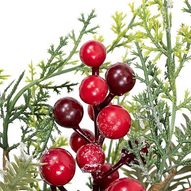 Northlight 24" Berry and Crabapple Artificial Cedar and Pine Wreath