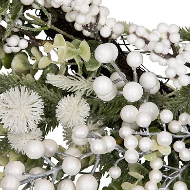 Northlight 24" Glittery Berries and Eucalyptus Artificial Wreath
