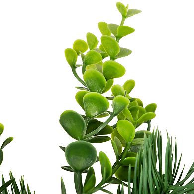 Northlight Crabapple & Berries Accent Boxwood & Pine Artificial Christmas Wreath