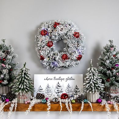 Northlight 24" Pre-Lit LED Flocked Indoor / Outdoor Artificial Bristle Pine Wreath