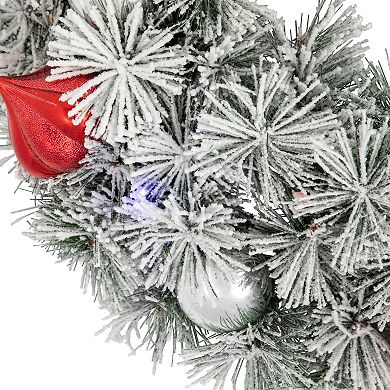 Northlight 24" Pre-Lit LED Flocked Indoor / Outdoor Artificial Bristle Pine Wreath