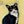 Black And White Cat