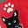 Black Cat