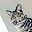 Silver Tabby