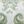 White Green
