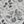 Light Gray Floral