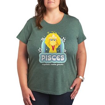 Plus Size Sesame Street Big Bird Short Sleeve Graphic Tee
