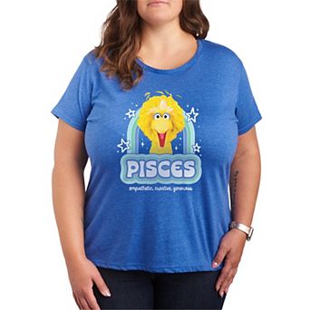 Plus Size Sesame Street Big Bird Short Sleeve Graphic Tee