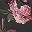 Black Floral