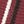 Burgundy Multi