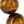 Tiger Eye