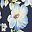 Blue Flower