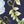 Blue Flower