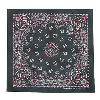 Multi Color Paisley Bandana
