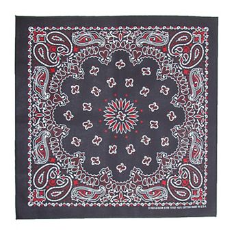 Multi Color Paisley Bandana