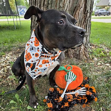 CTM Witches and Hats Halloween Print Holiday Bandana