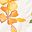 Ivory Floral