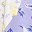 Lilac Floral