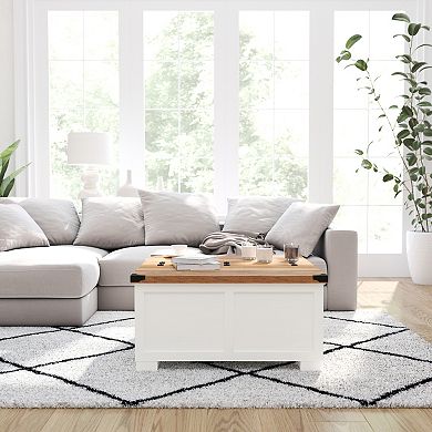 Merrick Lane Green River Farmhouse Storage Coffee Table