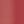 Red Dahilia