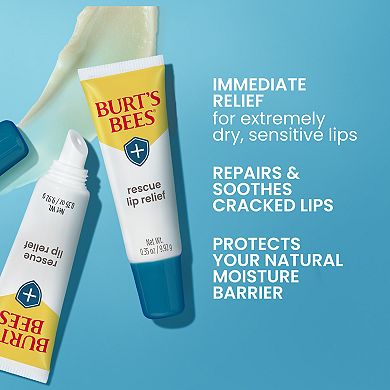 Burt's Bees Rescue Lip Relief with Shea Butter and Echinacea