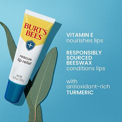 Burt's Bees Rescue Lip Relief with Shea Butter and Echinacea