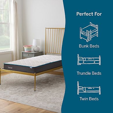 Lucid Dream 7-in. Firm Innerspring Mattress