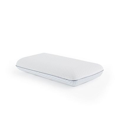 Lucid Dream Gel & Charcoal Memory Foam Pillow