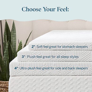 Lucid Dream 2-in. Gel & Charcoal Mattress Topper with Cover