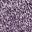 Purple Lilac