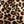 Animal Print