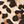Animal Print