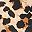Animal Print