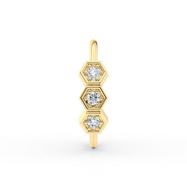Lila Moon 10k Gold Cubic Zirconia Open Nose Ring
