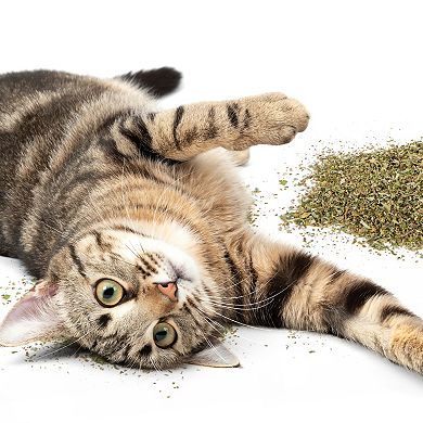 SmartyKat Catnip with Silvervine Cat Attractant Resealable Pouch