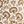 Beige Little Floral