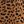 Brown Small Cheetah