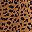 Brown Small Cheetah