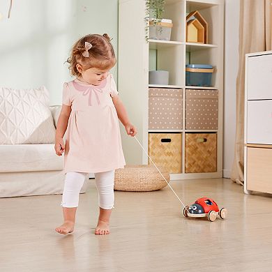 Hape Shape Sorter Pull-Along Ladybug Wooden Toddler Toy
