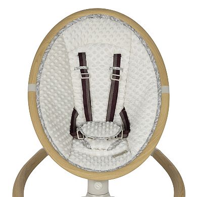 Safety 1st 5 Modes Bluetooth Swing