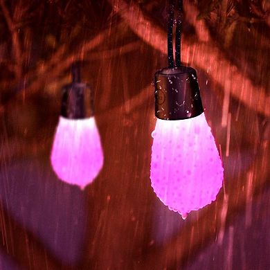Govee 48ft. 15 Bulb RGBW WiFi+Bluetooth String Lights