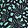 Black Mint