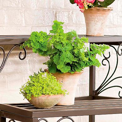 Evergreen Enterprises 3-Piece Nesting Metal Plant Stand Set