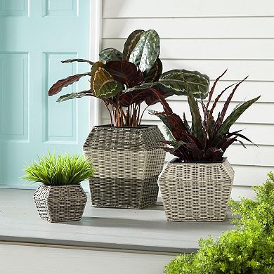 Evergreen Enterprises 3-Piece Short Resin Wicker Planter Set