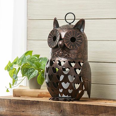 Evergreen Enterprises Indoor / Outdoor LED Owl Décor