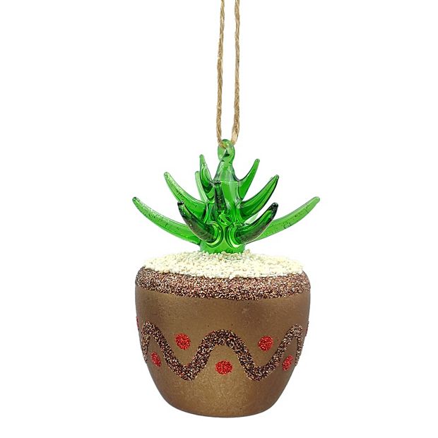 supernova zz plant Black Raven
