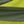 Electric Green