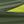 Electric Green