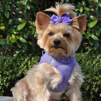 American River Choke Free Reflective Dog Harness