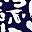Wild Navy